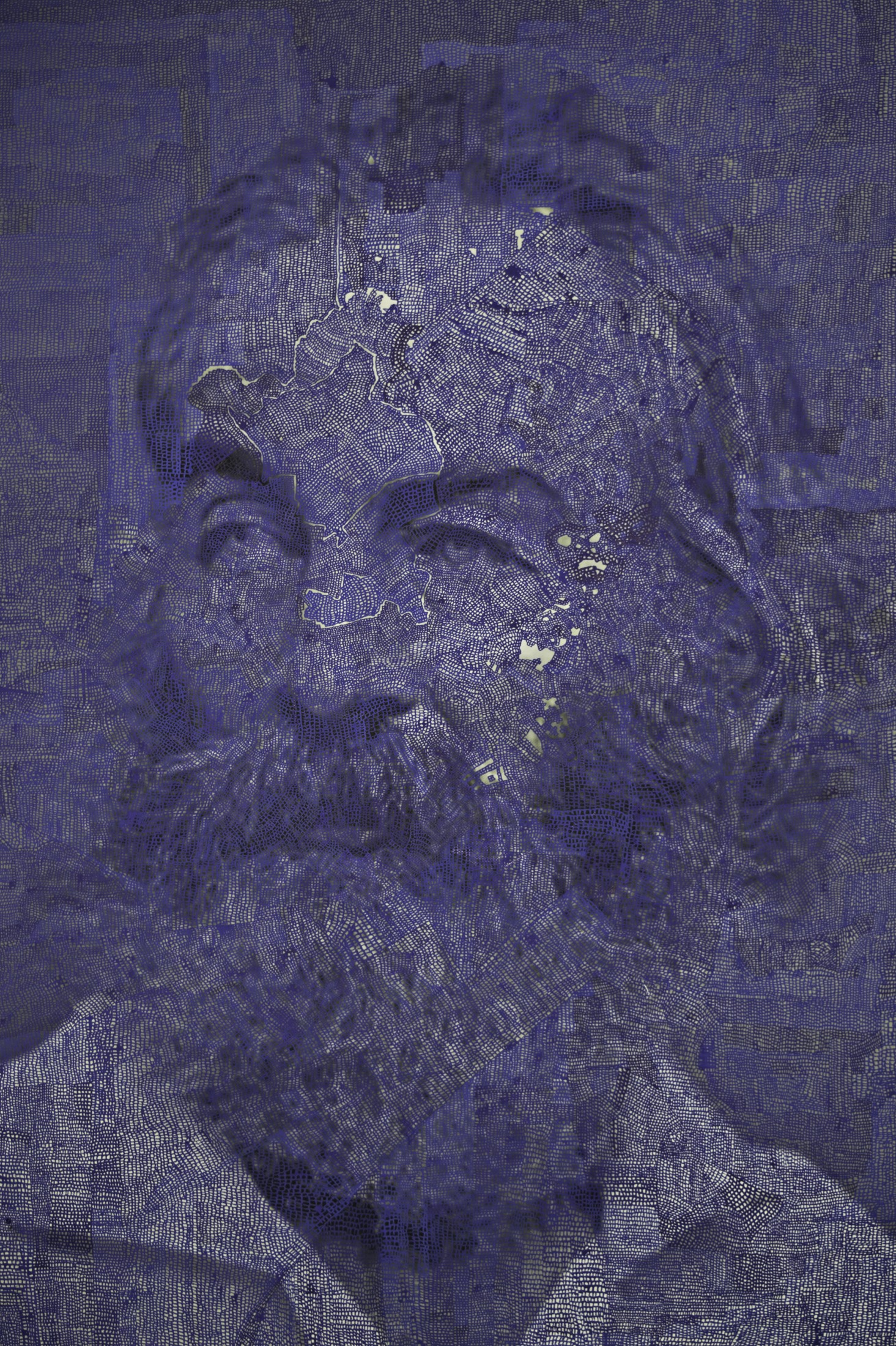 Walt Whitman by Ariel Shallit